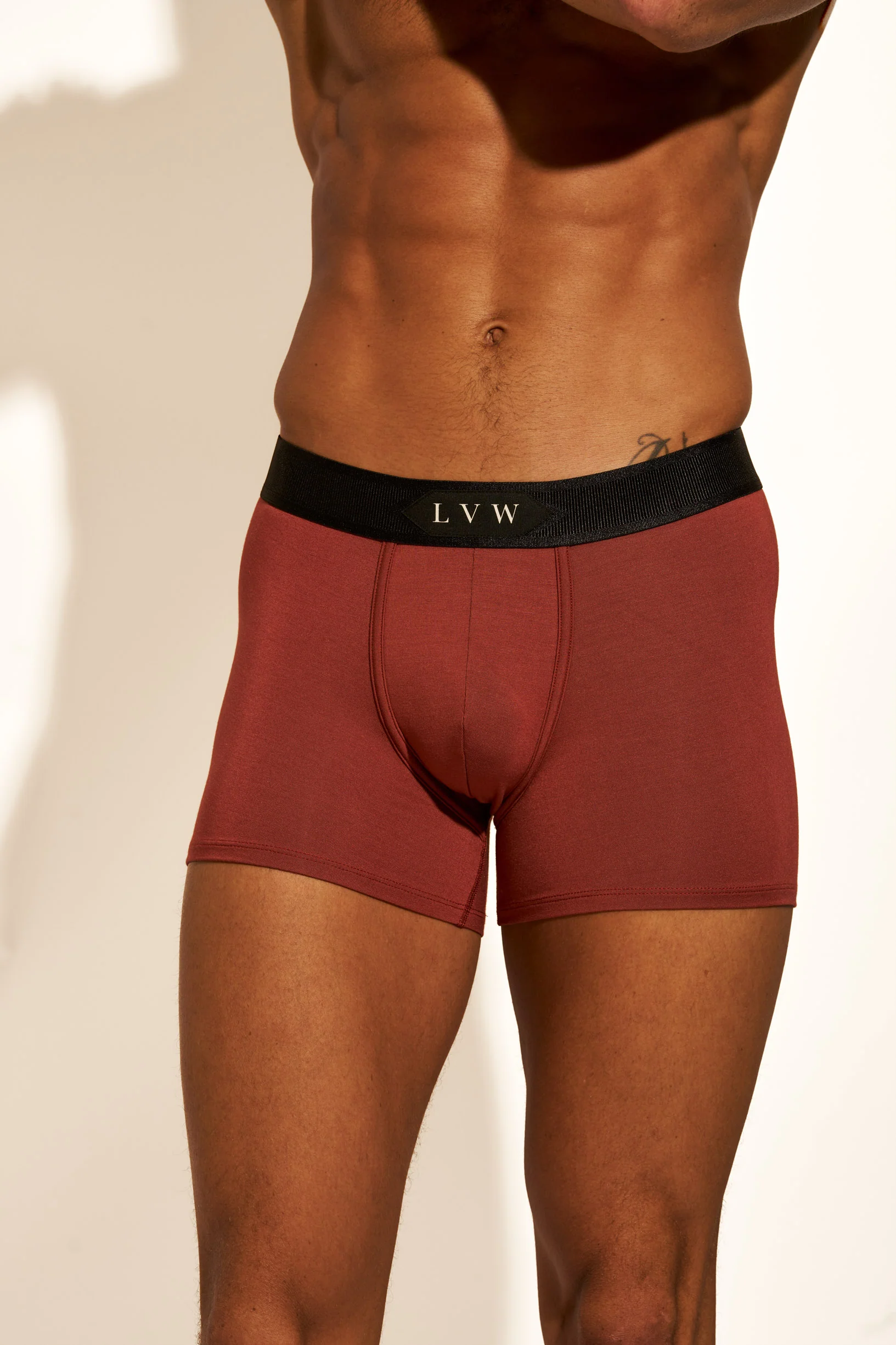 PREMIUM BOXER BRIEF - BRANDY SNIFTER - Image 3